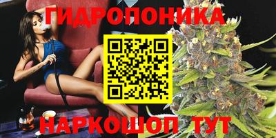 ALPHA PVP Малгобек