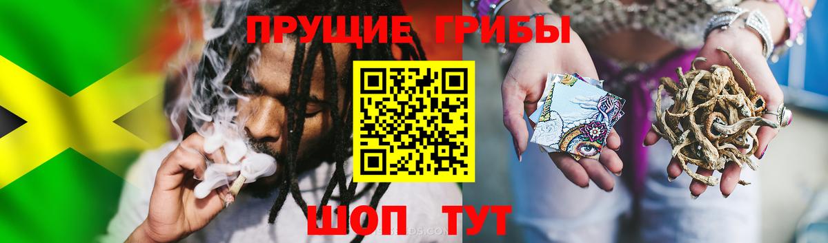 Галлюциногенные грибы Cubensis Томск